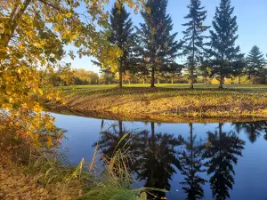 Birch Hills Golf Course