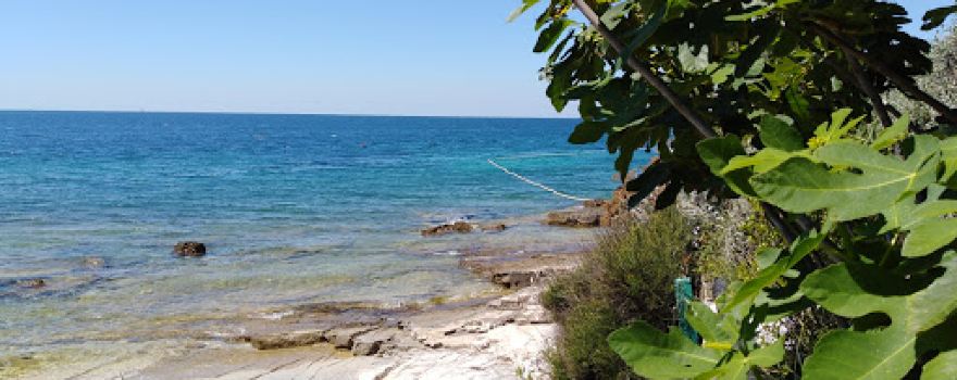 Beach Vabriga