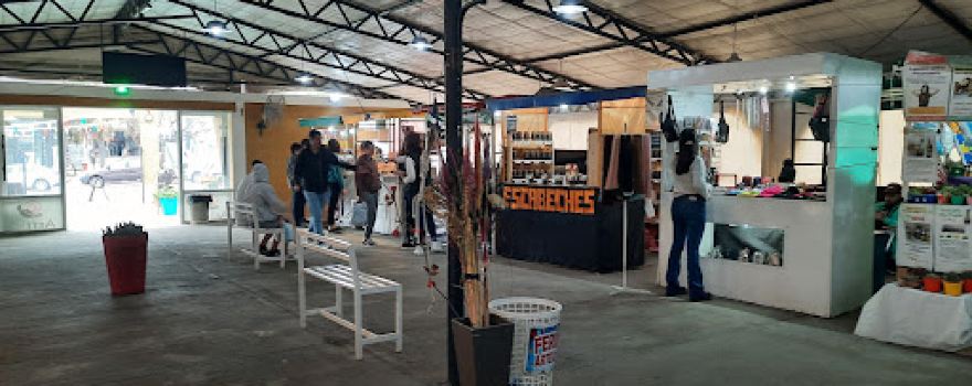 Feria Artesanal Manos al Arte