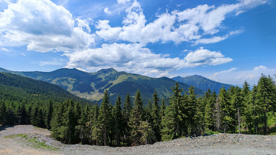 Pârtia Olimpica Borșa Complex Turistic