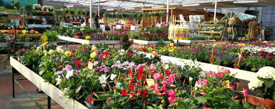 Centro de Jardinería Gondra