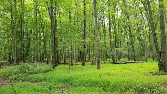 Parsippany