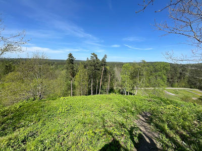 Saidė Trail