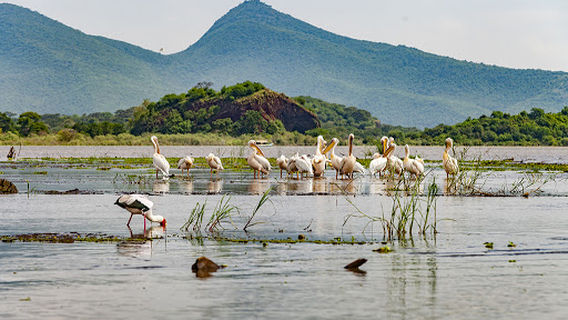 Little harbour for tourist boats of crocodile watching