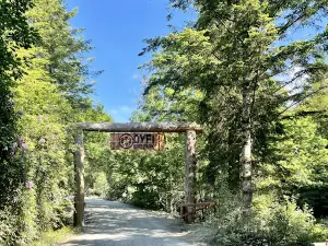 Dyfi Bike Park