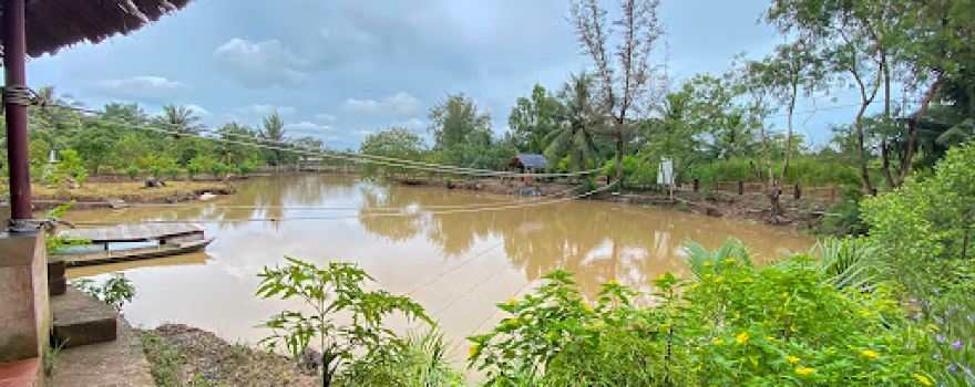 Vam Ho Bird Sanctuary