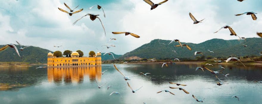 Jaipur Tour Trip