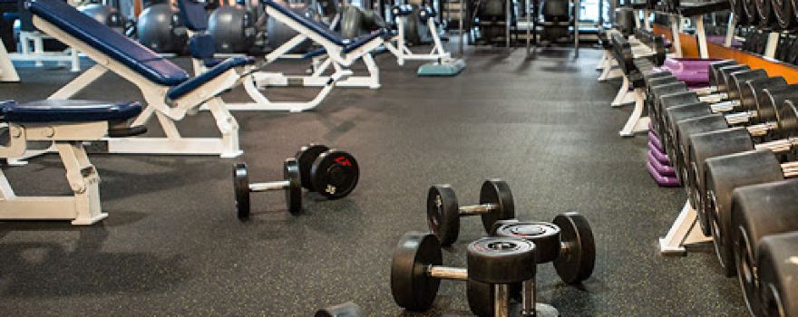 GYM, Michel