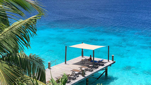 Flowmingo Private Yoga & Holistic Wellness