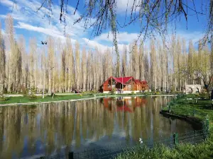 Halis Bayramoglu Memorial Forest