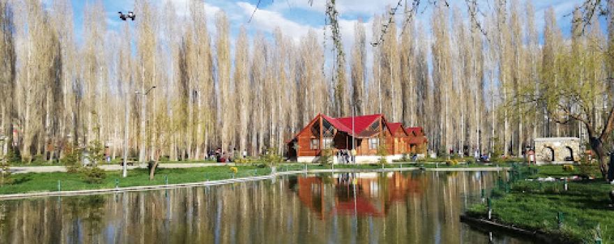 Halis Bayramoglu Memorial Forest