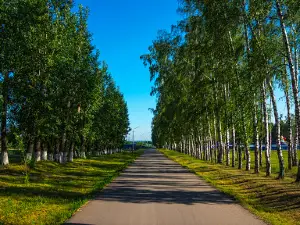our Park