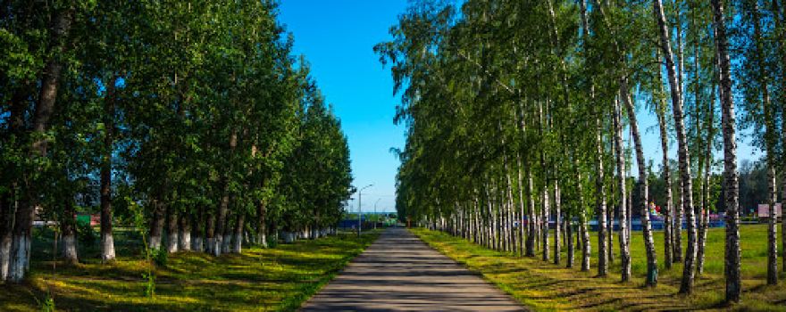 our Park