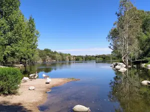 La Isla de Los Patos