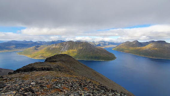 Breikågen
