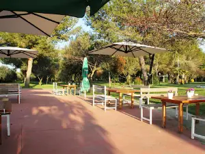 Green Park Divjakë
