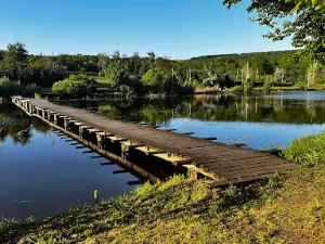 Lacul Condrița
