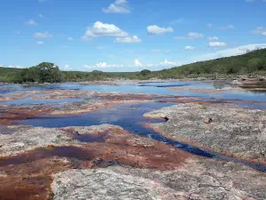 Edriano Souza Guia de Turismo e Ecoturismo de Ibicoara Bahia