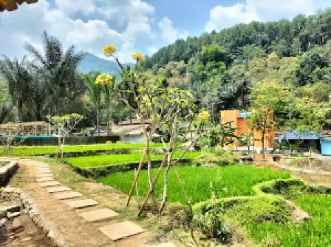 ARENAN KALIKESEK (wisata alam,kuliner,terapi ikan)