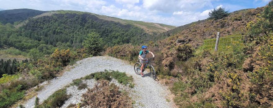 Calon Y Cwm Campsite