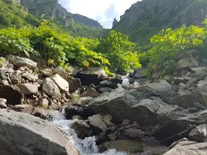Derebaşı Tesisleri Turgut,un Yeri