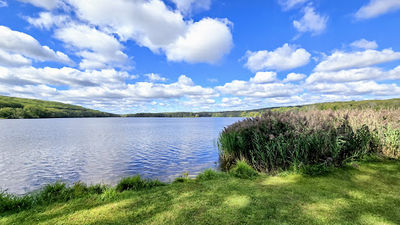 Lake Welch Beach