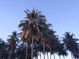 Taman Unikaltara