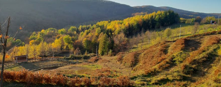 Grmečka korida - Popovića brdo