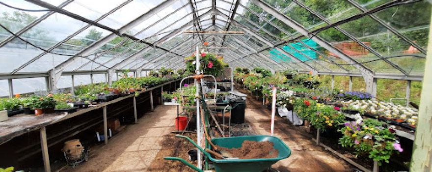 Park House Nurseries