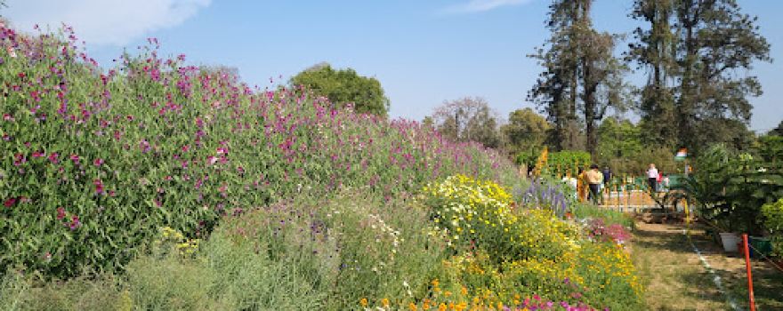 Company Garden
