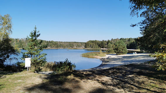 Tauchsportverein "Dino" e. V.