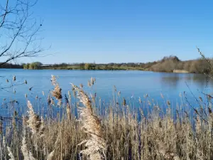 Lac de la Monnerie