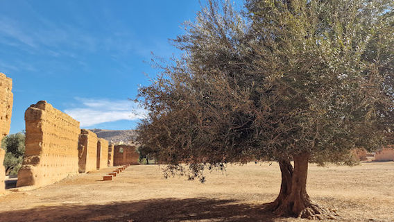 The Remains of Mansura Tlemcen