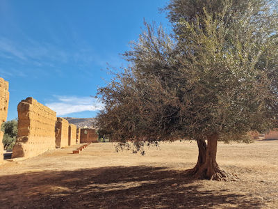 Mansourah Castle, Tlemcen