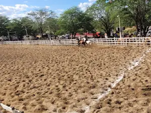 Parque Haras Vila Cowtry