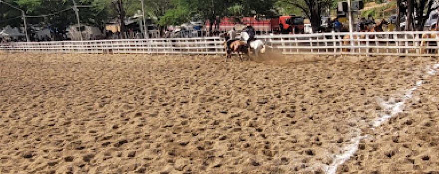 Parque Haras Vila Cowtry