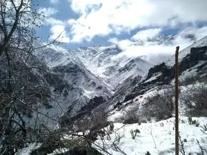 Yoged Village