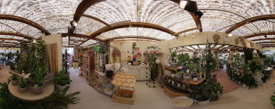 Elegant Outdoors Garden Centre