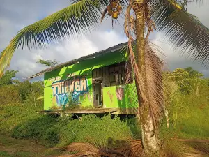 Lobos del manglar