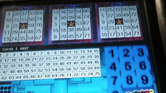 Watauga Road Bingo