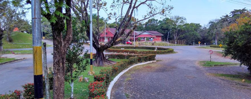 Iglesia del centro Park