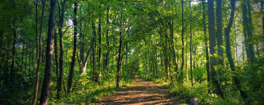 Tranquility Trails