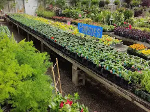 Taggart's Garden Center