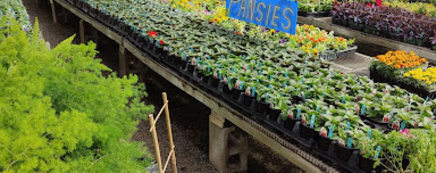 Taggart's Garden Center