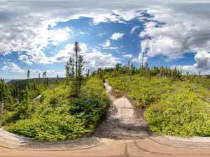 Belvédère Baie St-Pancrace