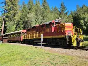 The Skunk Train
