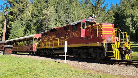 The Skunk Train