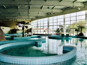 Patinoire Bul