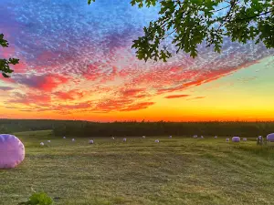 Lindsay Lake Farms