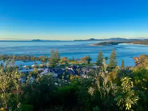 Rotary Lookout